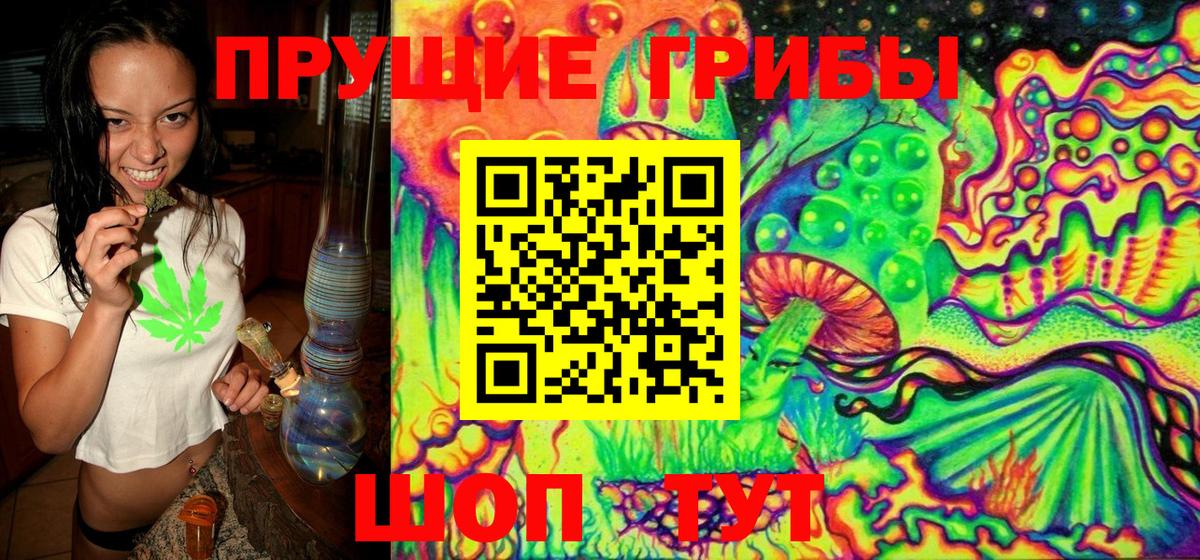 Галлюциногенные грибы Magic Shrooms  Вход с VPN  Петропавловск-Камчатский 
