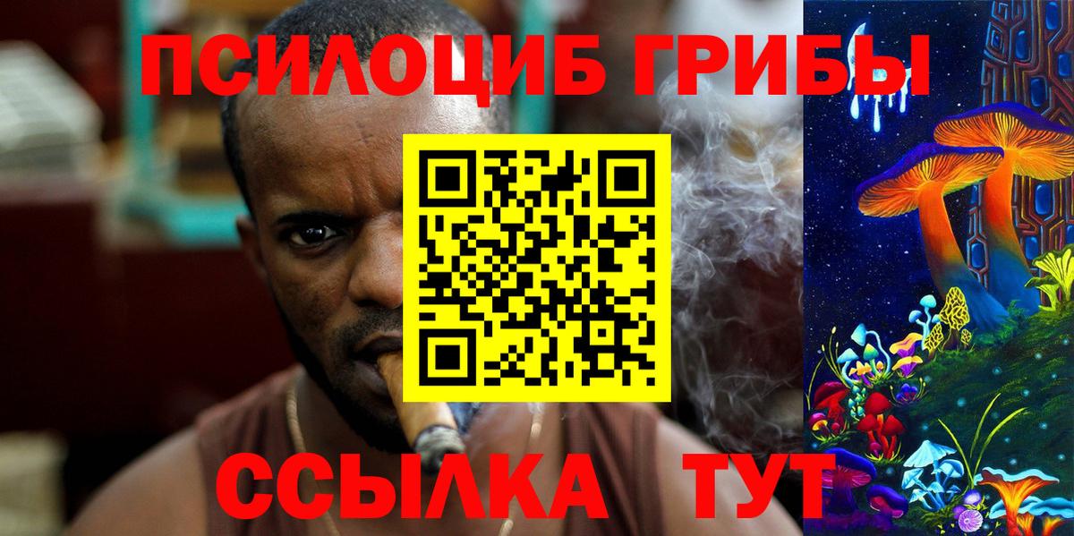 Галлюциногенные грибы прущие грибы Петропавловск-Камчатский